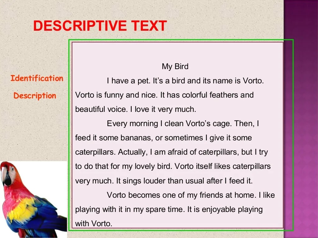 Contoh soal descriptive text singkat