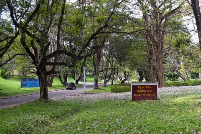 Fakultas kedokteran universitas palangka raya