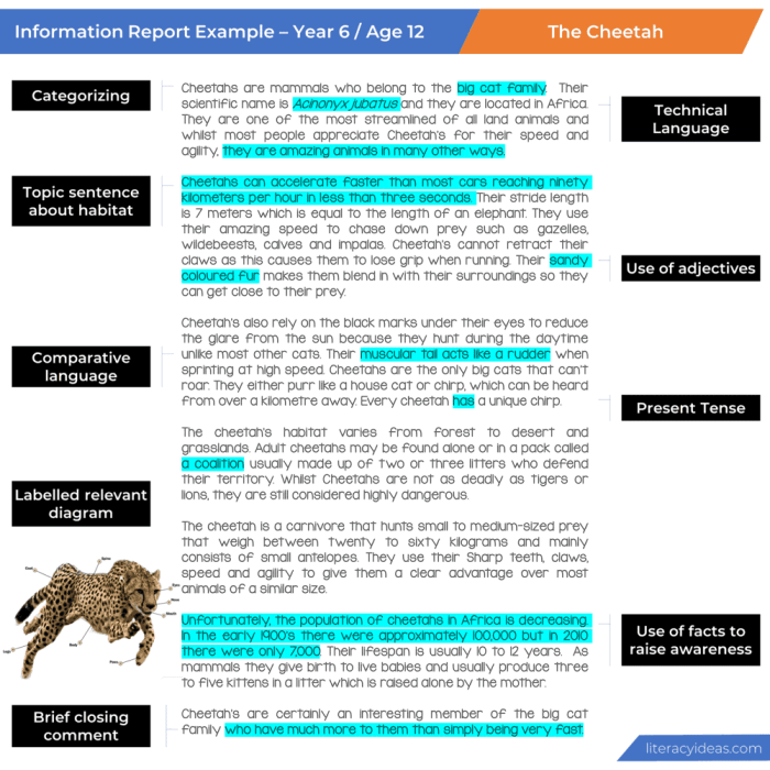 Contoh laporan informasi