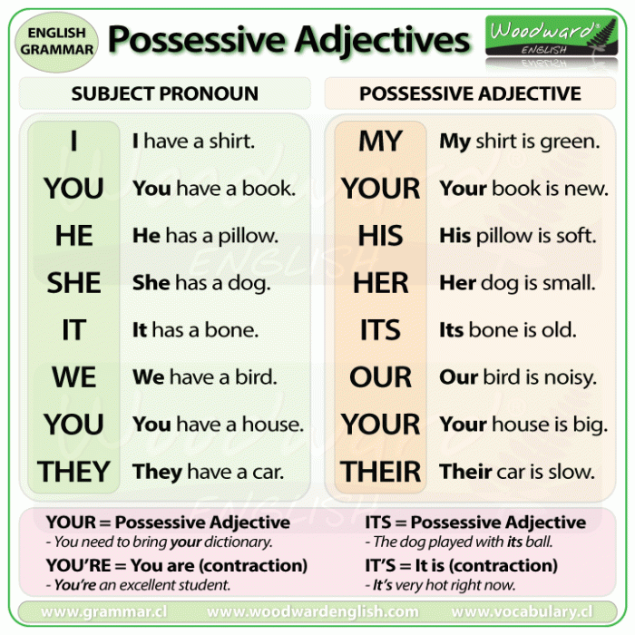 Contoh soal possessive adjective