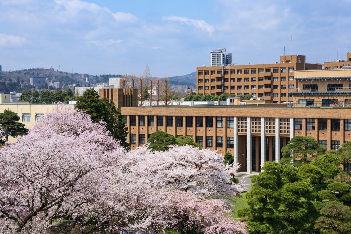 Japan universities university tohoku list uni students international top