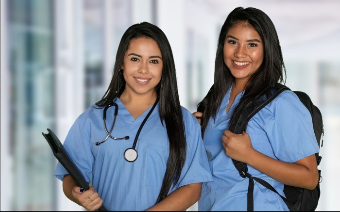 Nursing schools graduate top nurseslabs school advertisements