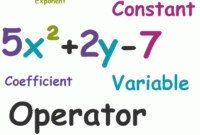 Contoh soal penerapan polinomial dalam kehidupan sehari hari