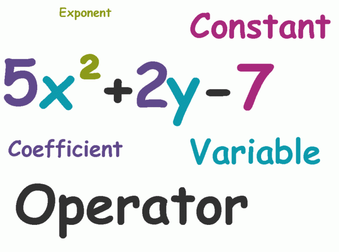 Contoh soal penerapan polinomial dalam kehidupan sehari hari