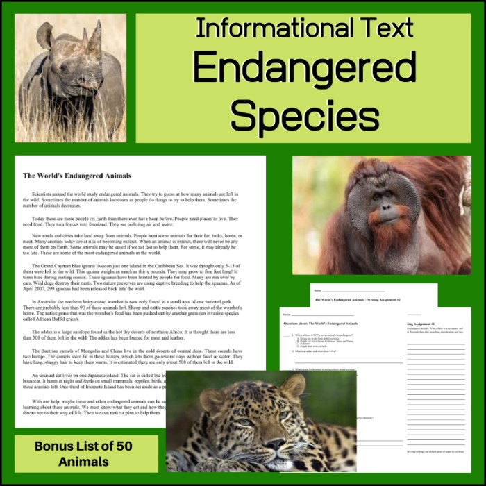 Contoh berita pendek untuk report text tema endangered animal