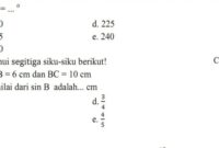 Contoh soal trigonometri kelas 10 dan pembahasannya