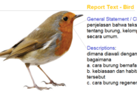 Contoh soal report text