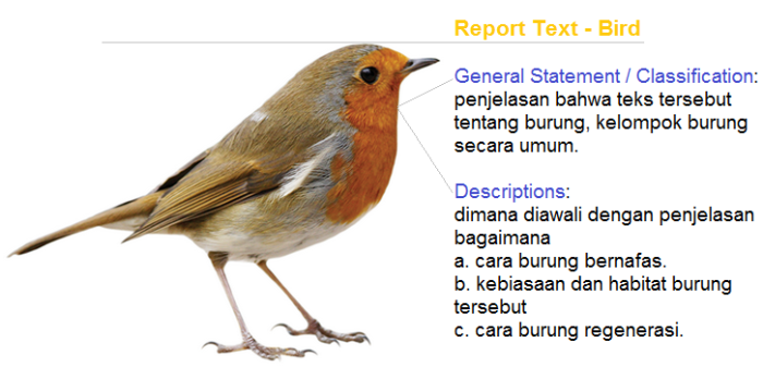 Contoh teks laporan bahasa inggris