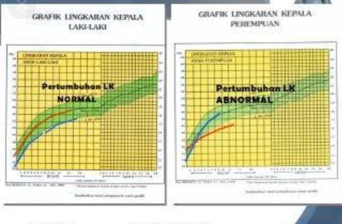 Contoh laporan ddtk