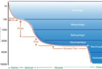 Contoh soal kedalaman laut